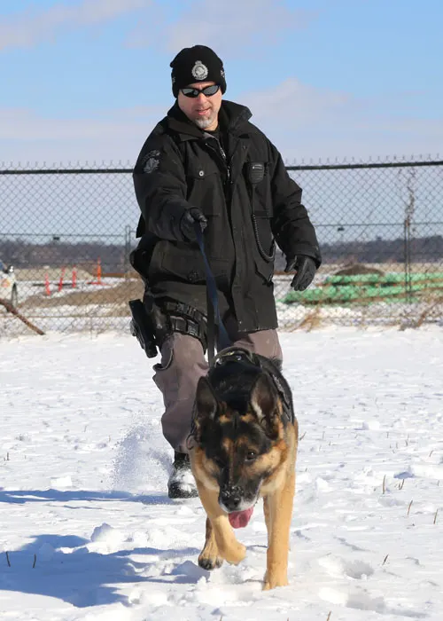 Police officer with a German Shepherd police service dog