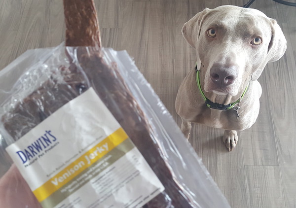 Darwin's venison jerky treats