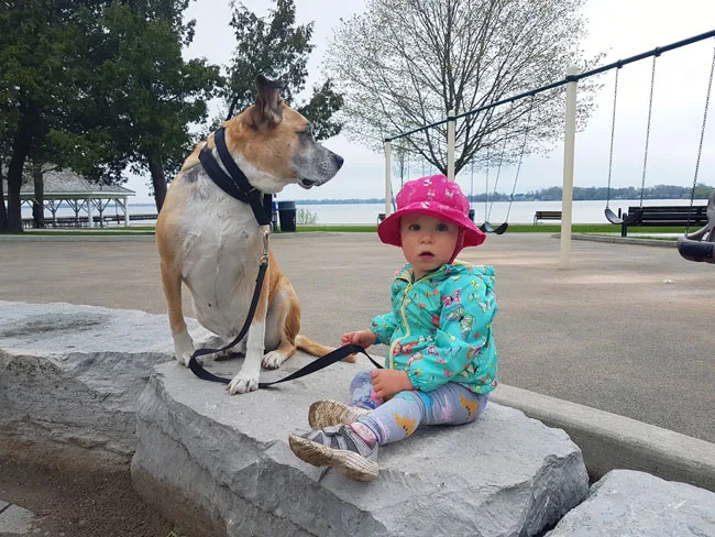 Adopting a dog when you have kids