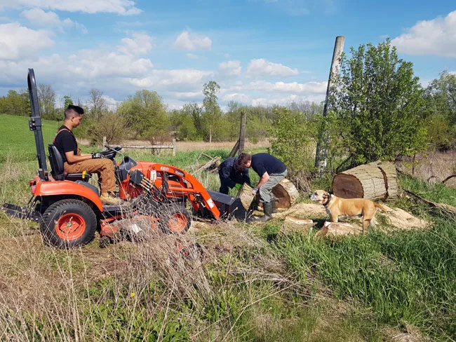 How to train a dog to stay on your property