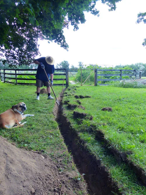 Training our dog to stay in the yard