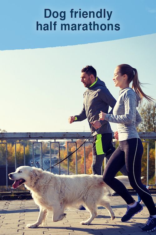 Dog friendly half marathons