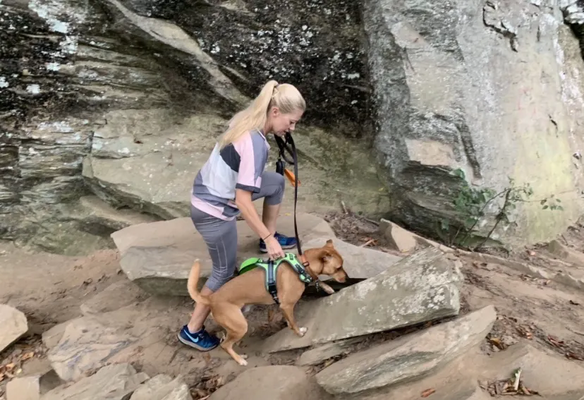 Mighty Paw sport harness