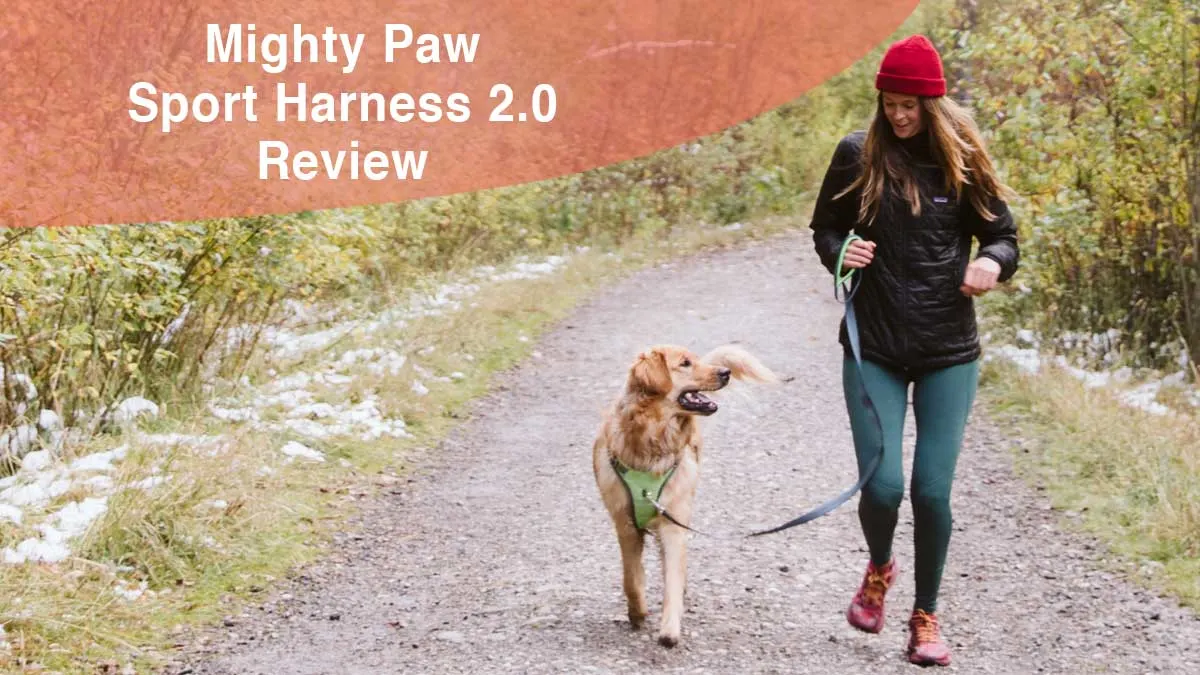 Mighty Paw Sport Harness 2.0
