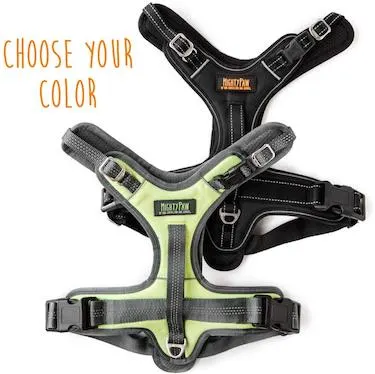 Mighty Paw sport harness 2.0