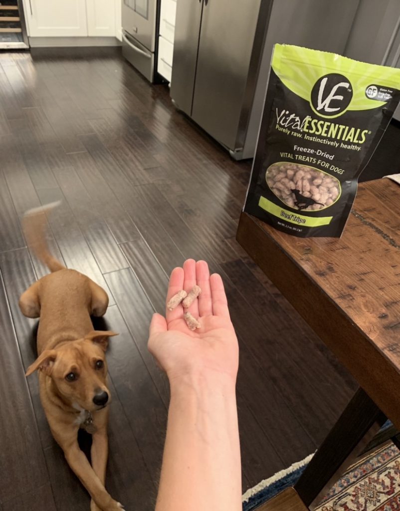 Vita Essentials dog treats