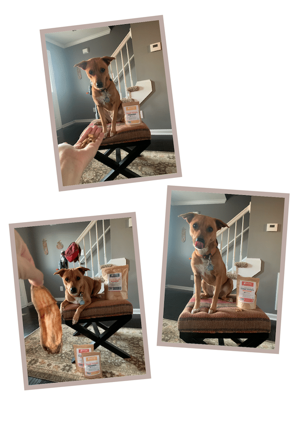 Raw Paws sweet potato treats