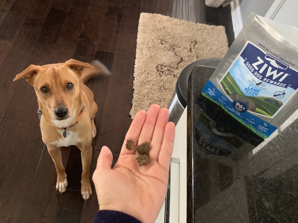 Ziwi dog treats