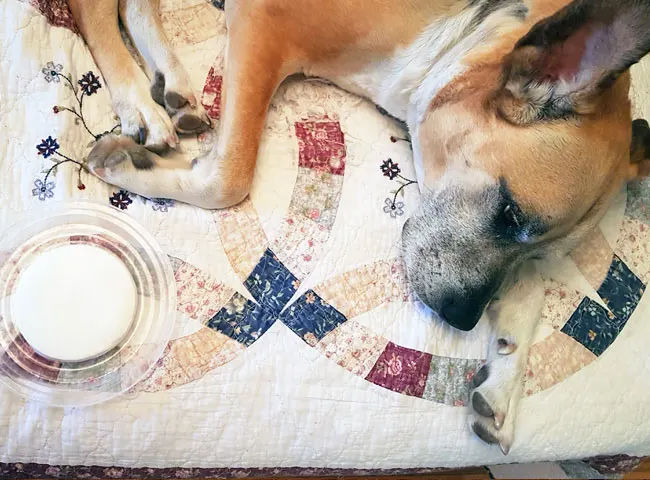 Making a paw print Christmas ornament