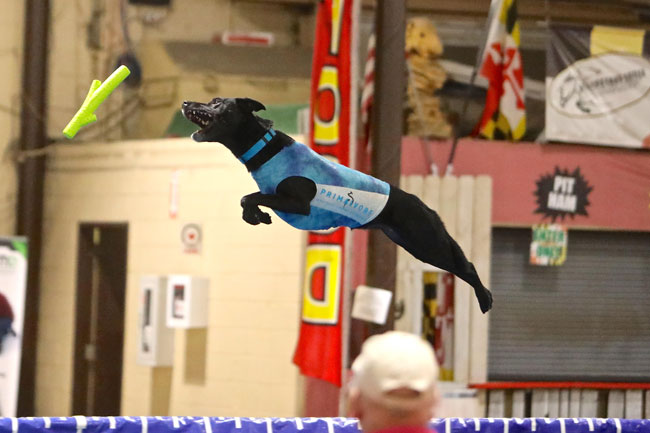Sasha during a jump