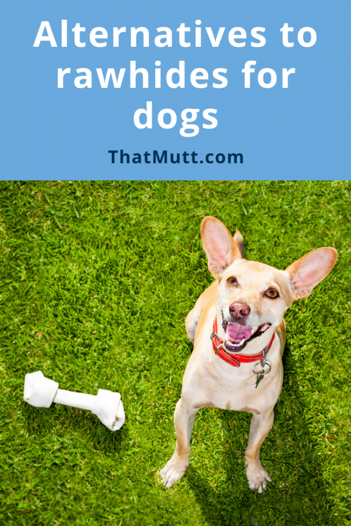 Rawhide alternatives for dogs