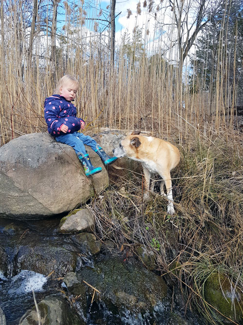 Dog with a toddler