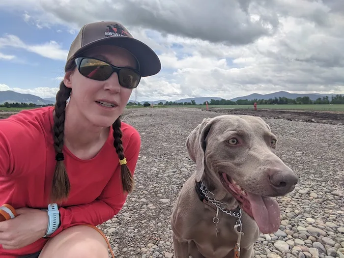 Training my weimaraner with navhda