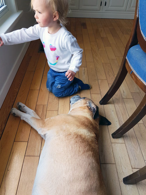 Baxter lying down beside Ellie