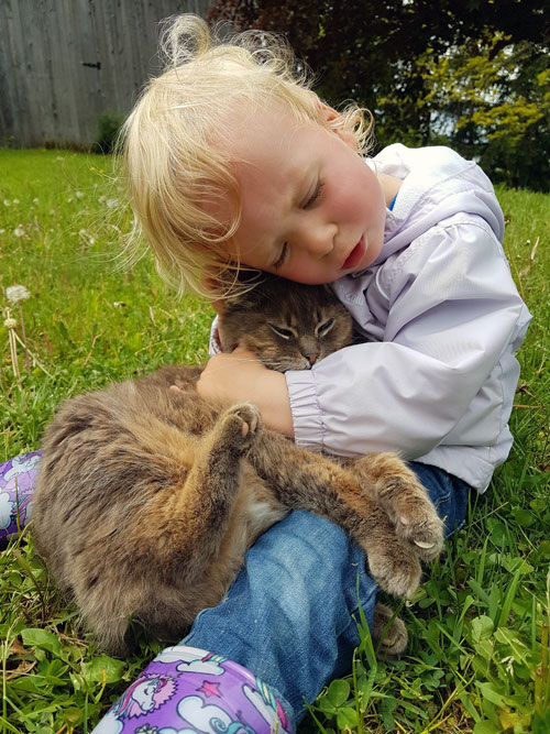 Help a toddler understand a pet's death