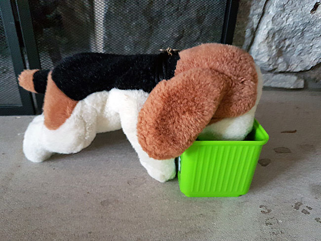 How to help a toddler understand a dog's death