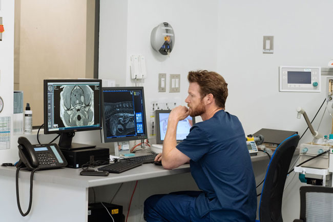 Veterinary neurology