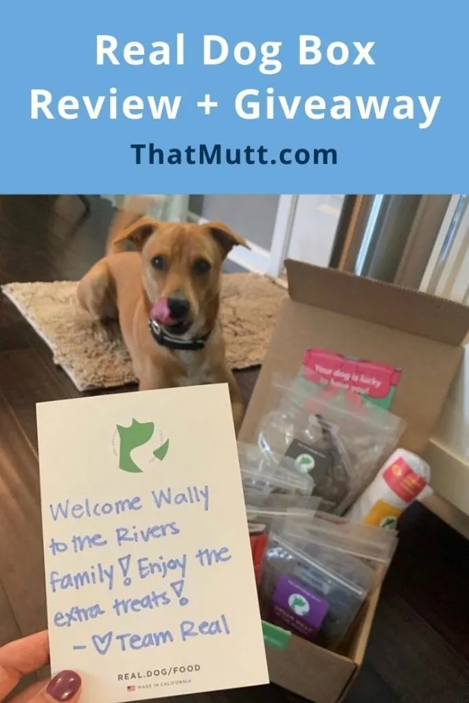 Real dog box review