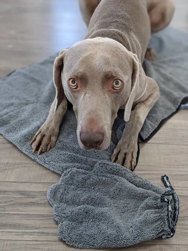 Microfiber pet towel