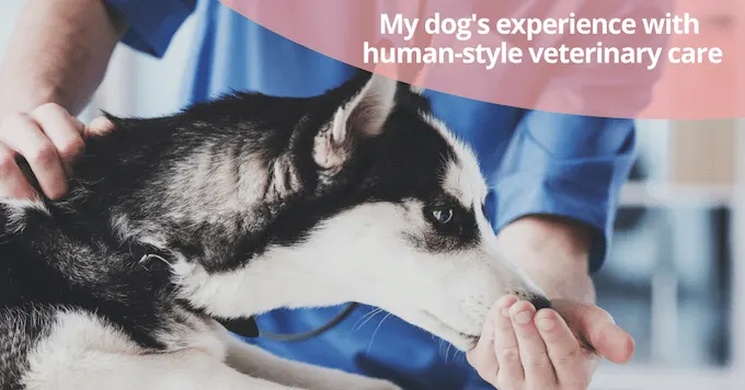 Veterinary specialty hospital