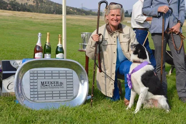 How to train a herding dog