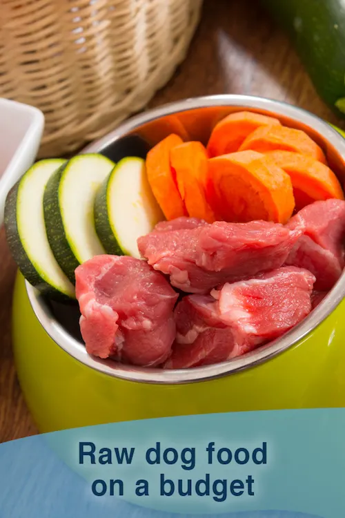 Affordable raw dog food 2025